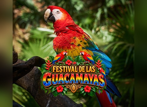 3er. Festival de las Guacamayas
