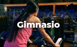 Gimnasio